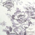 ���̑��̉摜