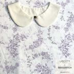 ���̑��̉摜