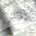 ���̑��̉摜