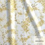 ���̑��̉摜