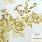 ���̑��̉摜