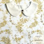 ���̑��̉摜