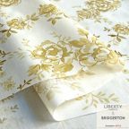 ���̑��̉摜