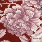 ���̑��̉摜