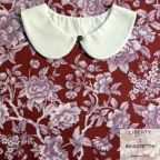 ���̑��̉摜