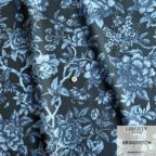 ���̑��̉摜