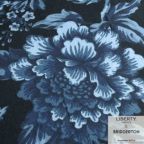 ���̑��̉摜