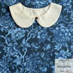 ���̑��̉摜