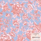 ���̑��̉摜