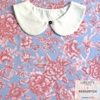 ���̑��̉摜