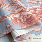 ���̑��̉摜