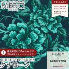 ���̑��̉摜