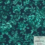 ���̑��̉摜