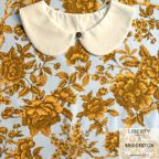 ���̑��̉摜