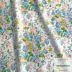 ���̑��̉摜