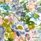 ���̑��̉摜