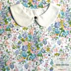 ���̑��̉摜