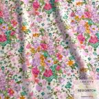 ���̑��̉摜