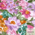 ���̑��̉摜