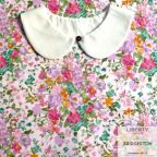 ���̑��̉摜