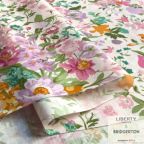 ���̑��̉摜