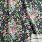 ���̑��̉摜