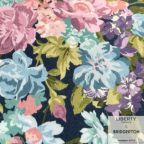 ���̑��̉摜