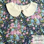 ���̑��̉摜