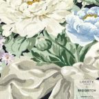 ���̑��̉摜