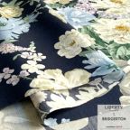 ���̑��̉摜