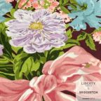 ���̑��̉摜