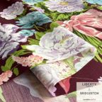 ���̑��̉摜