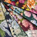 ���̑��̉摜