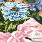 ���̑��̉摜