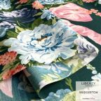 ���̑��̉摜