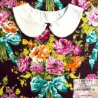 ���̑��̉摜