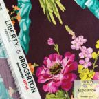 ���̑��̉摜