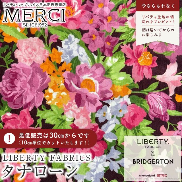 ���̑��̉摜