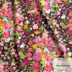 ���̑��̉摜