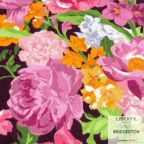 ���̑��̉摜