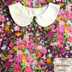 ���̑��̉摜