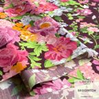 ���̑��̉摜