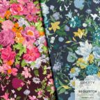 ���̑��̉摜