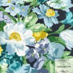 ���̑��̉摜