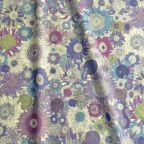 ���̑��̉摜