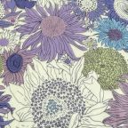 ���̑��̉摜