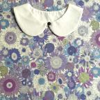 ���̑��̉摜