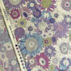 ���̑��̉摜