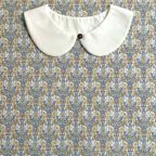 ���̑��̉摜