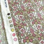 ���̑��̉摜